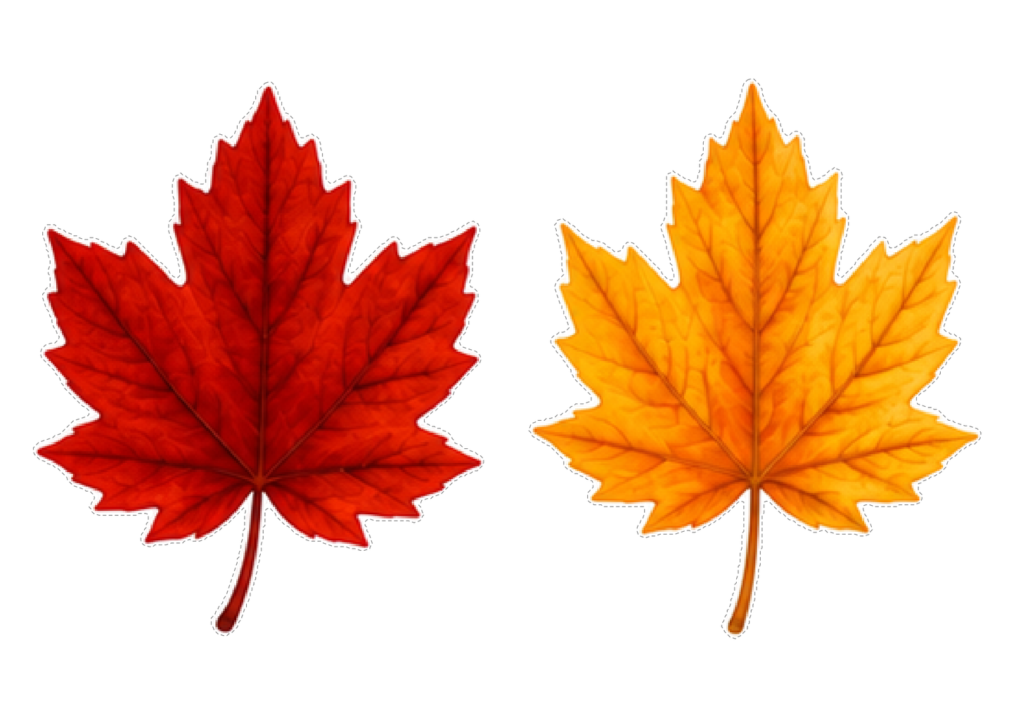 Hello Autumn – liście do druku, strona 18
