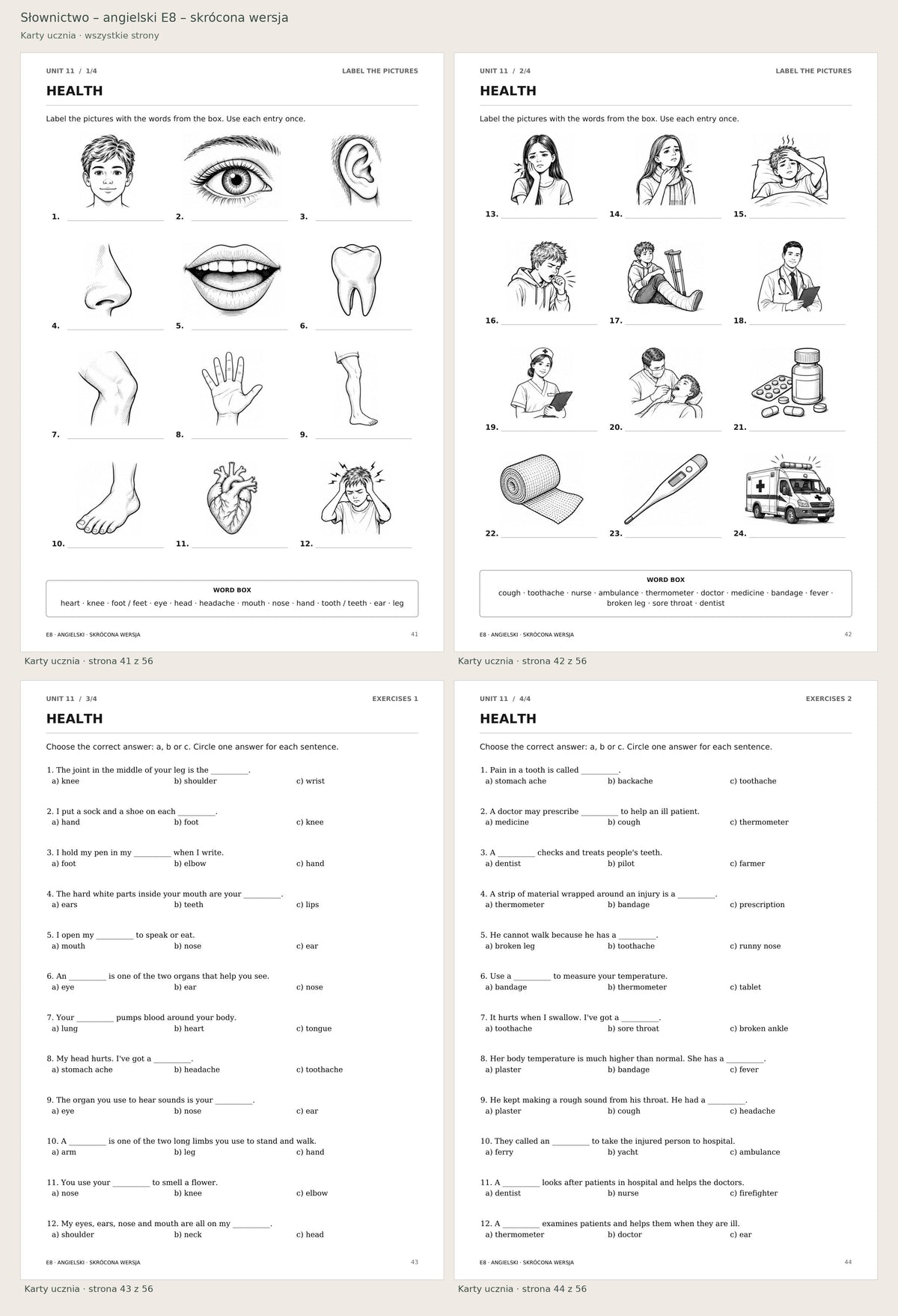 Słownictwo – angielski E8 – skrócona wersja. Karty ucznia. Podgląd stron: 41, 42, 43, 44 z 56.
